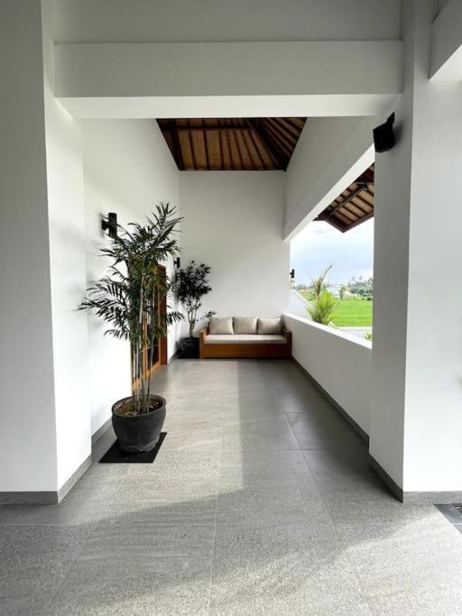 Villa Vespa Lovina Exteriér fotografie